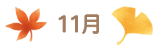 11��